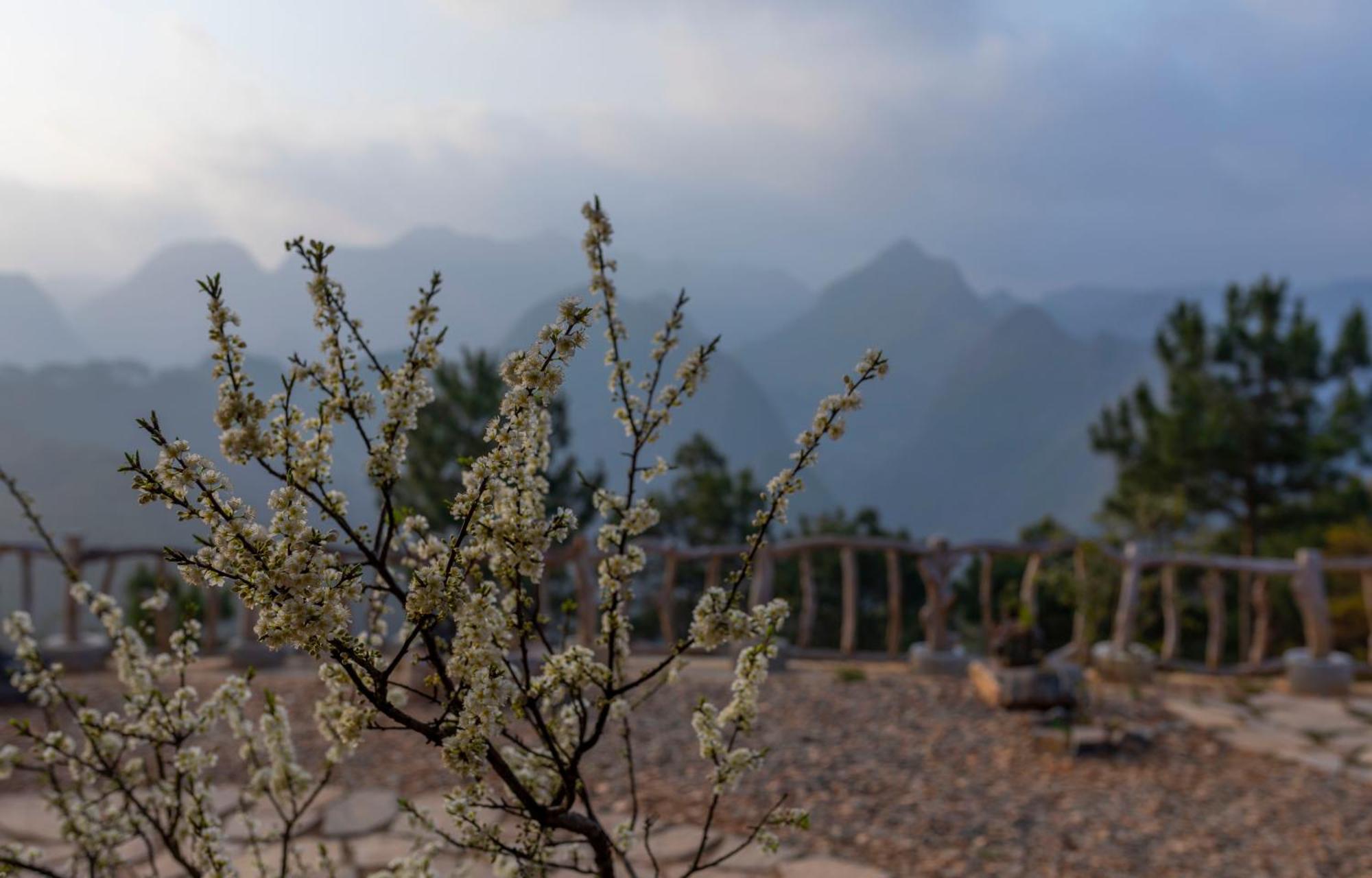 同文Khoi Panorama别墅 外观 照片